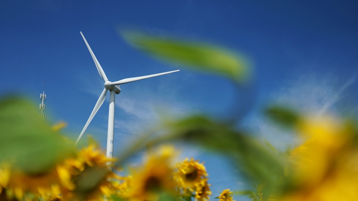 Windturbine flowers