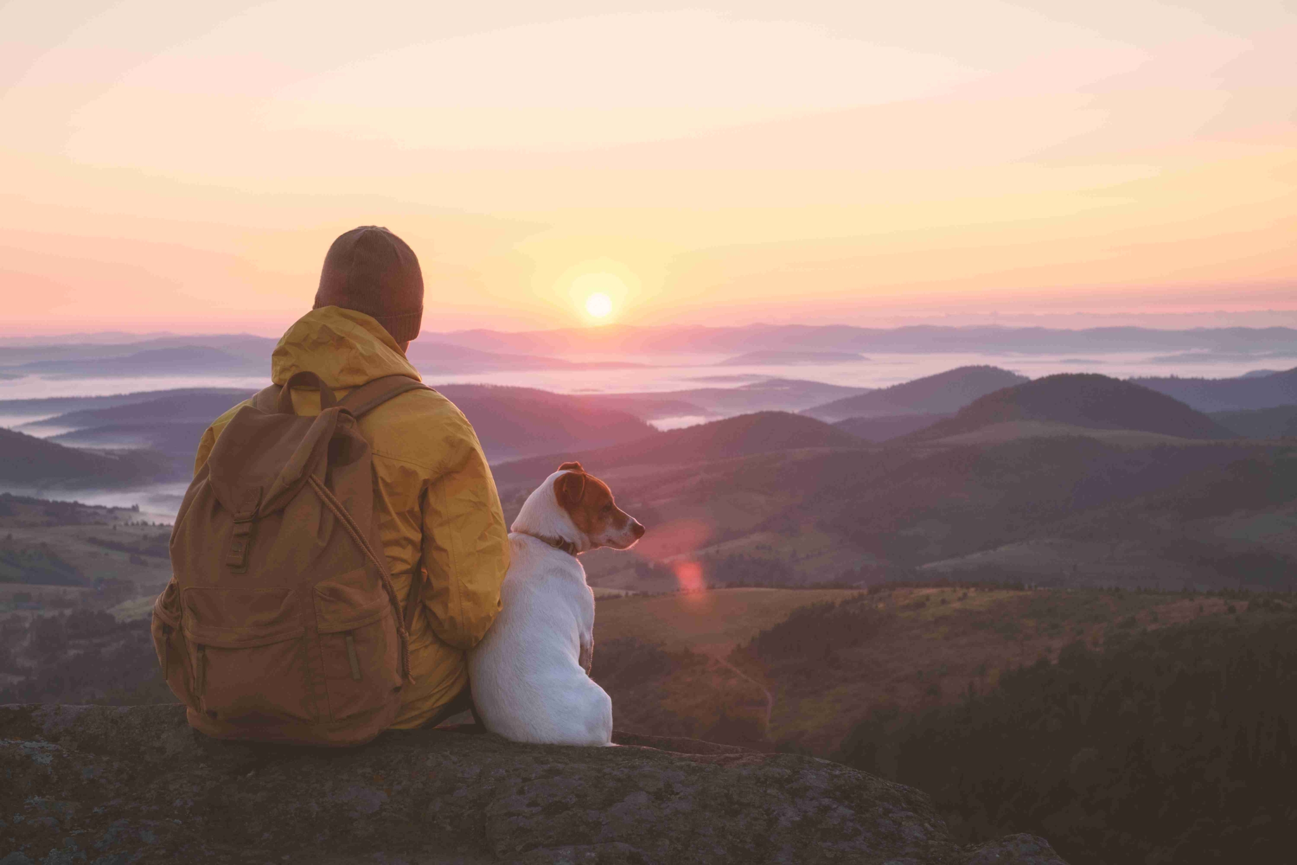 A man and his dog sitting on a rock overlooking mountains